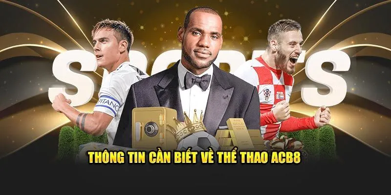 Thể thao ABC8 có thể theo dõi trực tiếp các trận đấu trên nền tảng