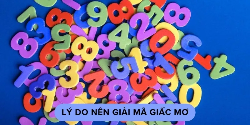 Lý do nên giải mã giấc mơ khi chơi lô đề xổ số